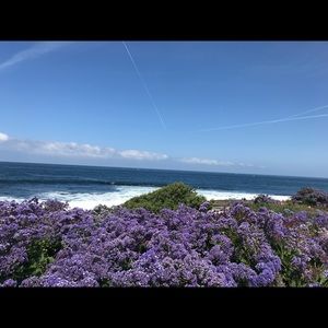 Meet your Posher, Leidy